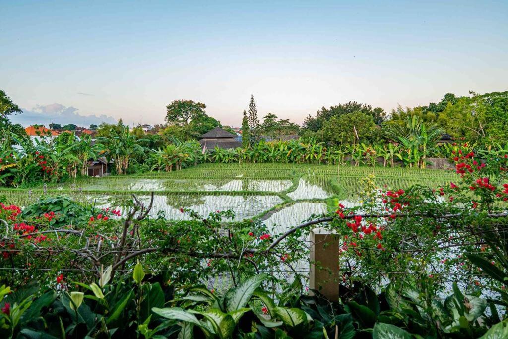 Villa Mimpi Nyata 坎古 外观 照片
