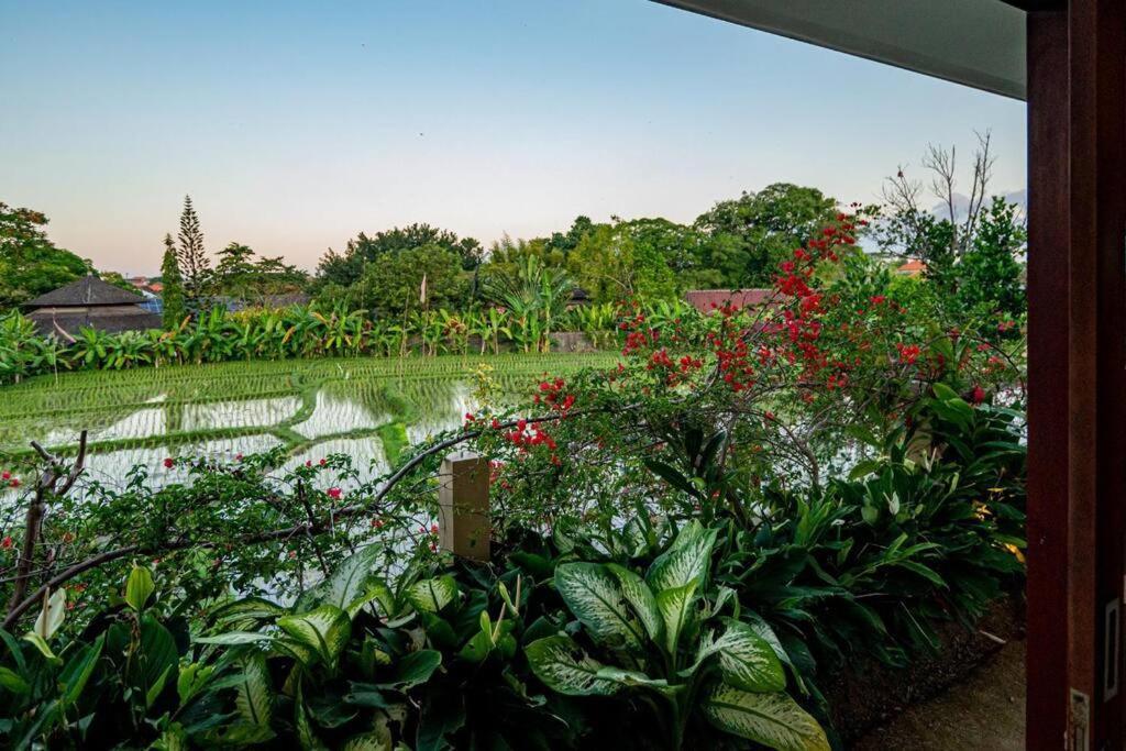 Villa Mimpi Nyata 坎古 外观 照片